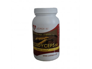 Cordyceps Sinensis 30 – 100g prášok